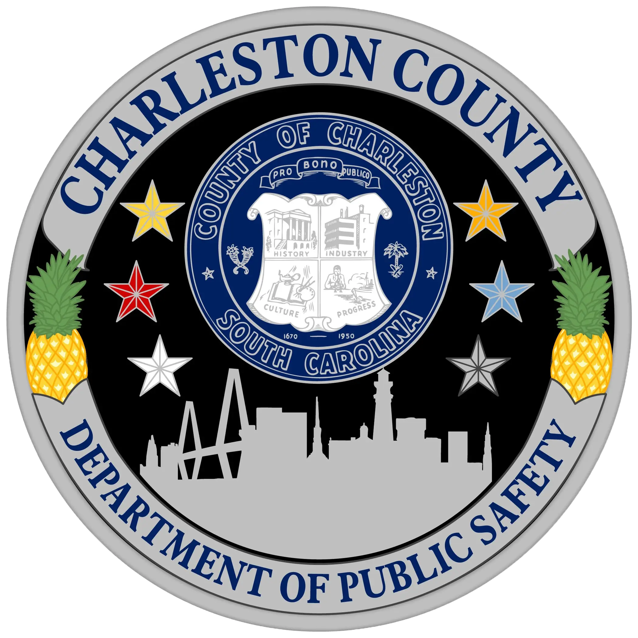 Charleston County Department of Public Safety