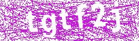 Verification Image